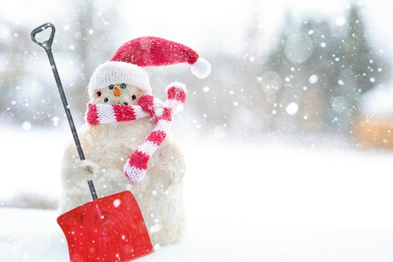 Snow day predictor tools help predict snow days in advance